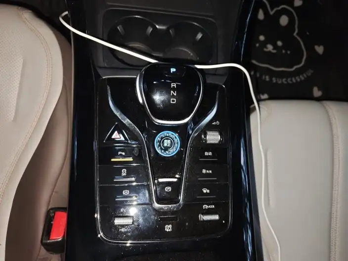 BYD Qin PLUS DM 2024 Model Honor Edition DM-i 55KM Leading Model – фото 9