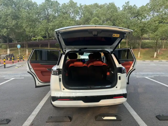 eπ 008 2024 Model 210Max Extended Range Edition 6 seat – фото 8