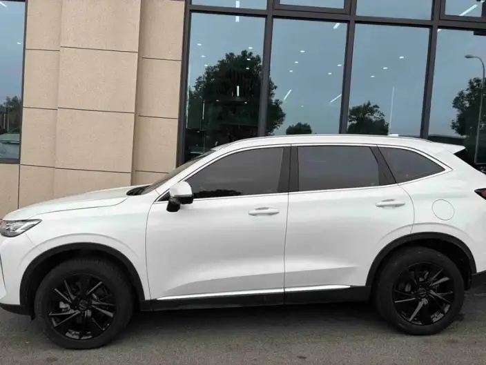 Haval H6 2021 Model Third generation 2.0T Automatic 4WD Max Edition – фото 4