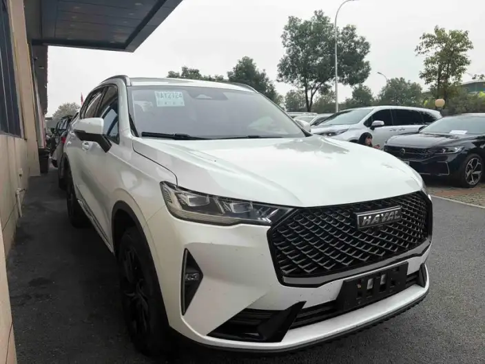 Haval H6 2021 Model Third generation 2.0T Automatic 4WD Max Edition – фото 6