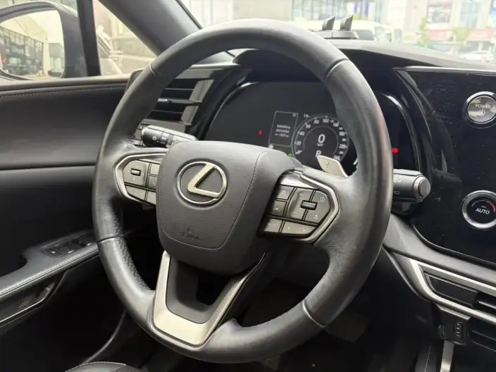 Lexus RX 2023 Model 350h 2WD Yuexiang Edition – фото 9