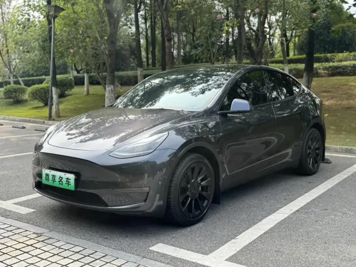 Model Y 2024 Model Long Battery Life Pro All-wheel drive version – фото 1