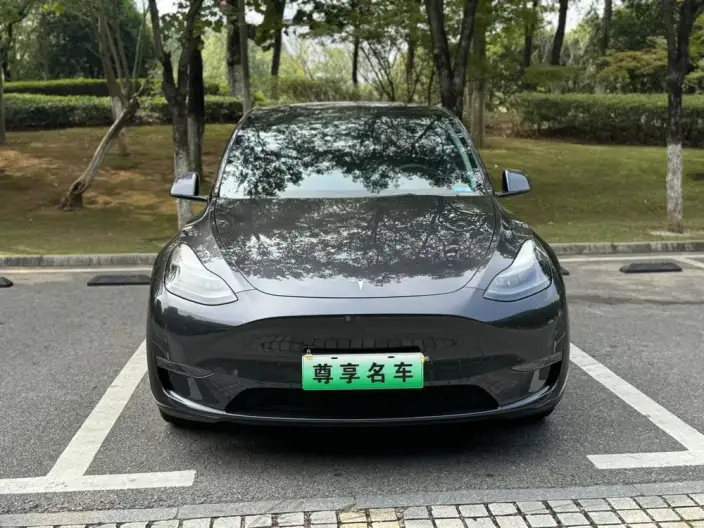 Model Y 2024 Model Long Battery Life Pro All-wheel drive version – фото 2