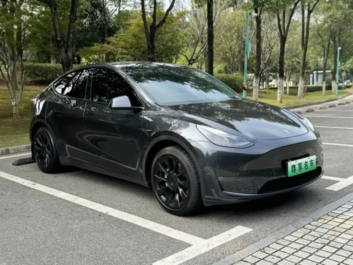 Model Y 2024 Model Long Battery Life Pro All-wheel drive version – фото 3