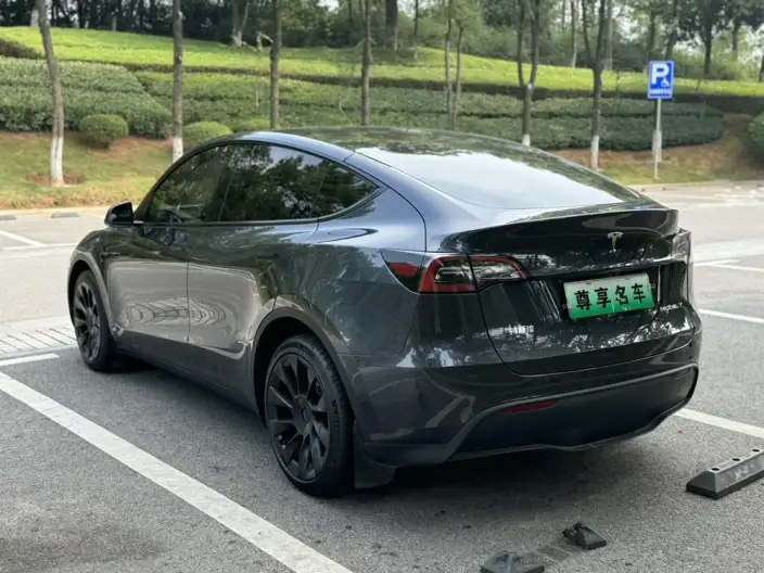 Model Y 2024 Model Long Battery Life Pro All-wheel drive version – фото 4
