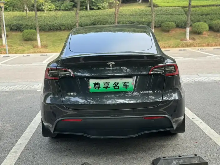 Model Y 2024 Model Long Battery Life Pro All-wheel drive version – фото 5