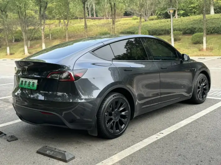 Model Y 2024 Model Long Battery Life Pro All-wheel drive version – фото 6