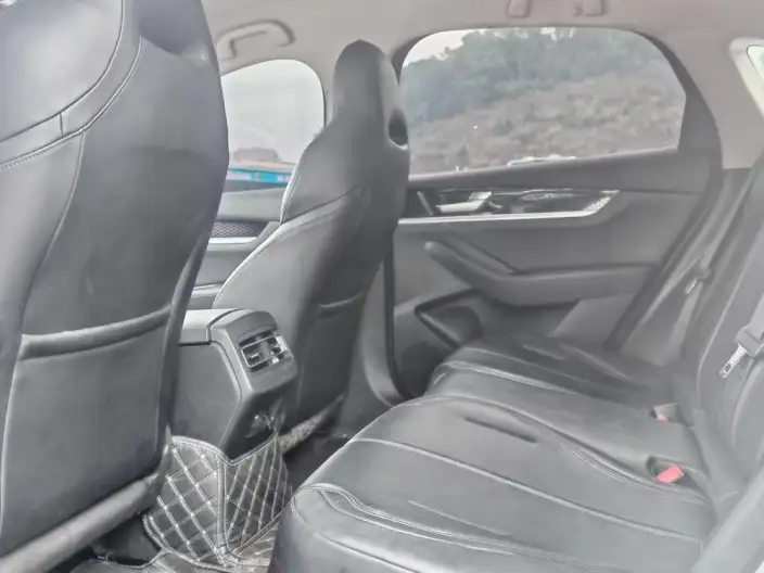 Qin Plus EV 2021 Model 400KM Luxury Model – фото 9