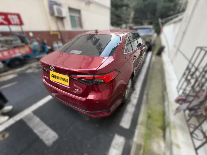 Asia Lion 2021 Model 2.0L Deluxe Edition – фото 2