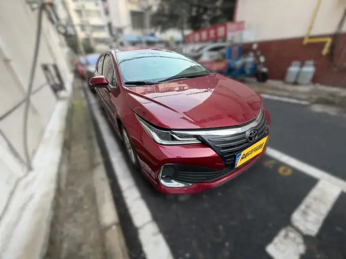 Asia Lion 2021 Model 2.0L Deluxe Edition – фото 3
