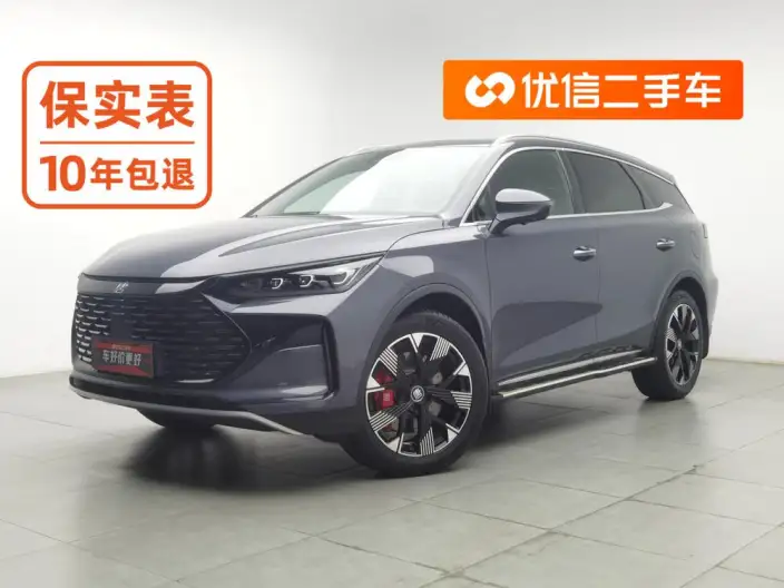 BYD Tang DM 2023 Model DM-p Champion Edition 215KM 4WD Exclusive Model – фото 1