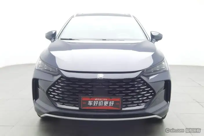 BYD Tang DM 2023 Model DM-p Champion Edition 215KM 4WD Exclusive Model – фото 2