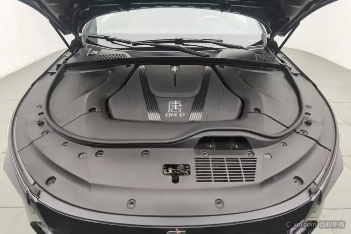BYD Tang DM 2023 Model DM-p Champion Edition 215KM 4WD Exclusive Model – фото 5