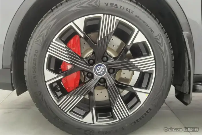BYD Tang DM 2023 Model DM-p Champion Edition 215KM 4WD Exclusive Model – фото 10