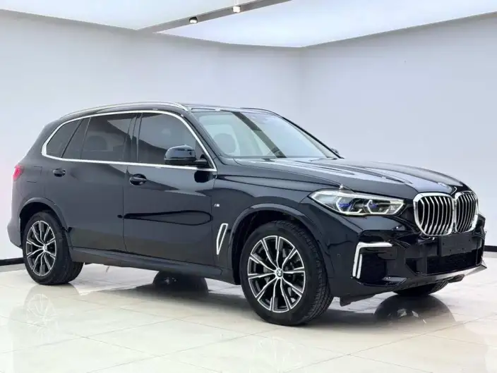 BMW X5 2022 Model xDrive 30Li Exclusive Model M Sports Set – фото 3