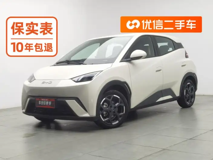 BYD Seagull 2025 Model 305KM Free Edition – фото 1