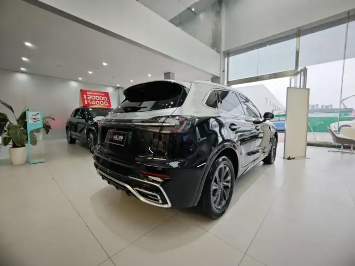 Hongqi HS5 2023 Model 2.0T Flag Xiang Pro Edition – фото 4