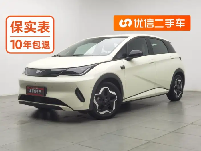 BYD Dolphin 2025 Model Smart Driving Edition 420KM Free Edition – фото 1