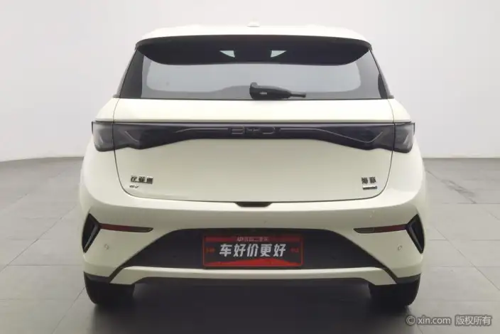 BYD Dolphin 2025 Model Smart Driving Edition 420KM Free Edition – фото 3