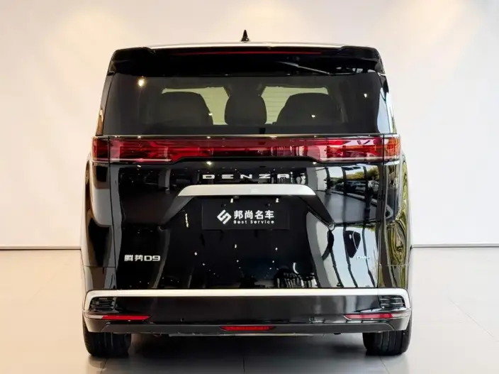 DENZA D9 DM 2024 Model 1050 Exclusive Model – фото 3