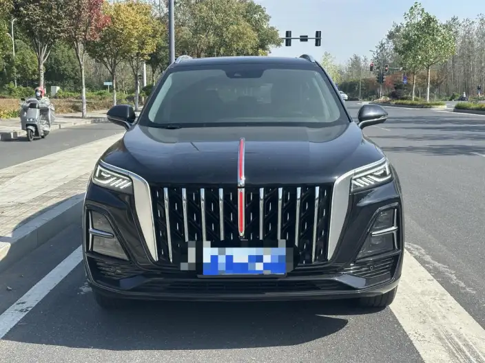 Hongqi HS5 2023 Model 2.0T Flag Xiang Pro Edition – фото 2