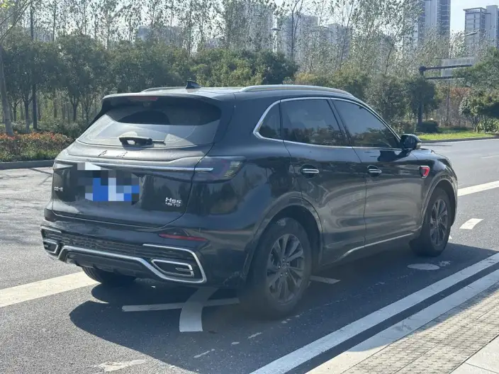 Hongqi HS5 2023 Model 2.0T Flag Xiang Pro Edition – фото 6