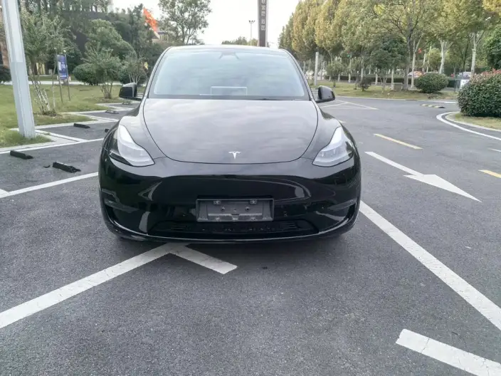 Model Y 2022 Model Facelift Long Battery Life Pro All-wheel drive version – фото 2