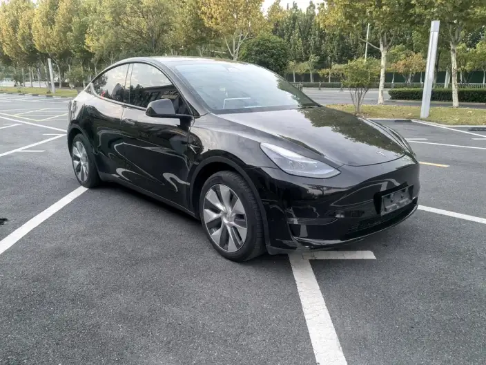 Model Y 2022 Model Facelift Long Battery Life Pro All-wheel drive version – фото 3