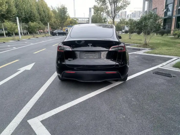 Model Y 2022 Model Facelift Long Battery Life Pro All-wheel drive version – фото 8