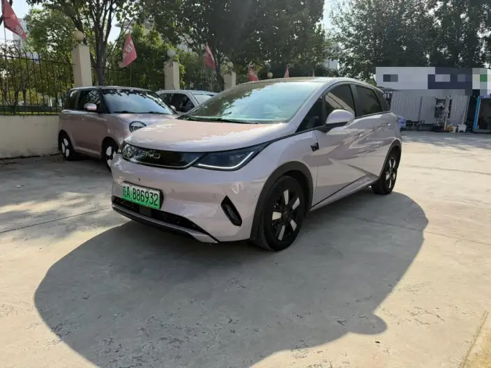 BYD Dolphin 2025 Model Smart Driving Edition 410KM Fashion Edition – фото 1