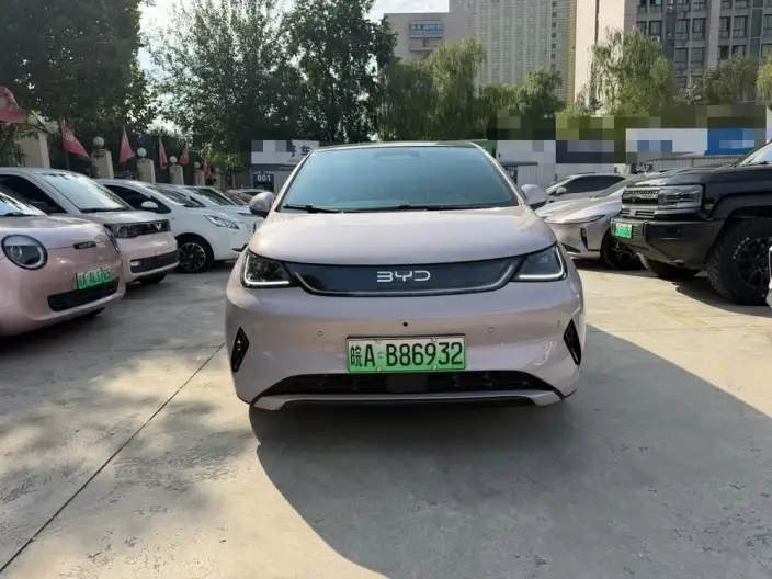 BYD Dolphin 2025 Model Smart Driving Edition 410KM Fashion Edition – фото 2