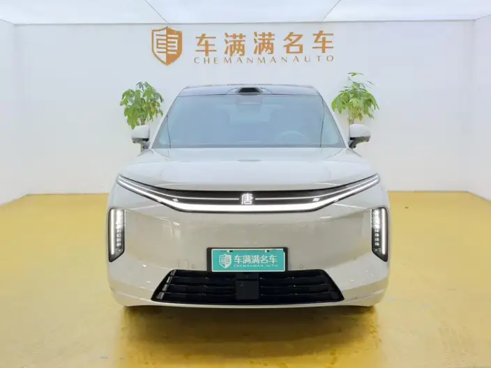 Datang EV 2026 Model 950KM Rear Drive LiDAR Flagship Model – фото 2