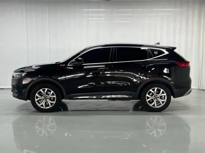 Haval H6 2021 Model Guo Trendy Edition 1.5GDIT Automatic Champion Edition – фото 4