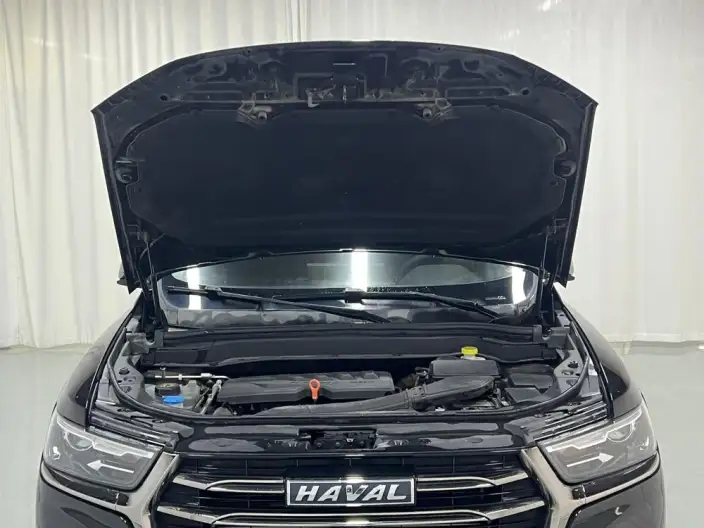 Haval H6 2021 Model Guo Trendy Edition 1.5GDIT Automatic Champion Edition – фото 10