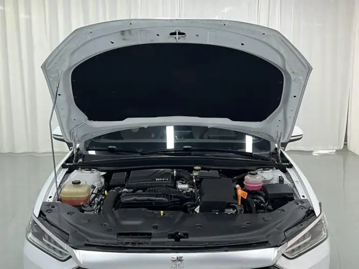BYD Qin PLUS DM 2024 Model Honor Edition DM-i 55KM Leading Model – фото 10