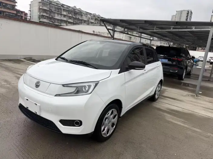 Young Guang Xiaoxin 2021 Model Business Edition 4 seat – фото 1