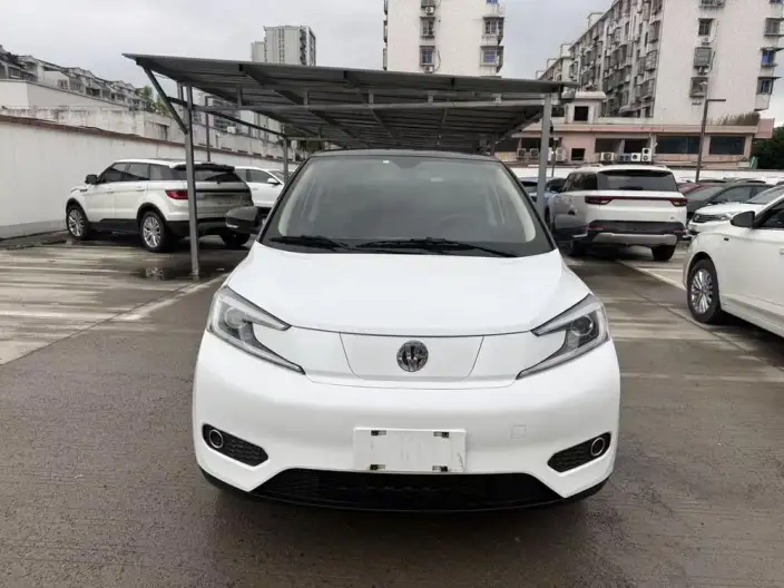 Young Guang Xiaoxin 2021 Model Business Edition 4 seat – фото 2