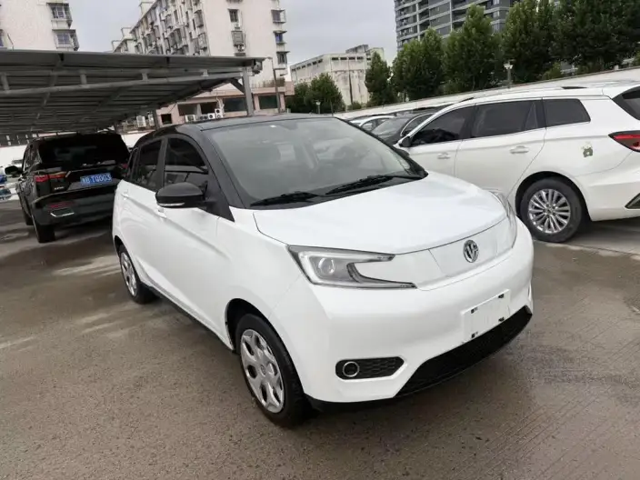 Young Guang Xiaoxin 2021 Model Business Edition 4 seat – фото 3