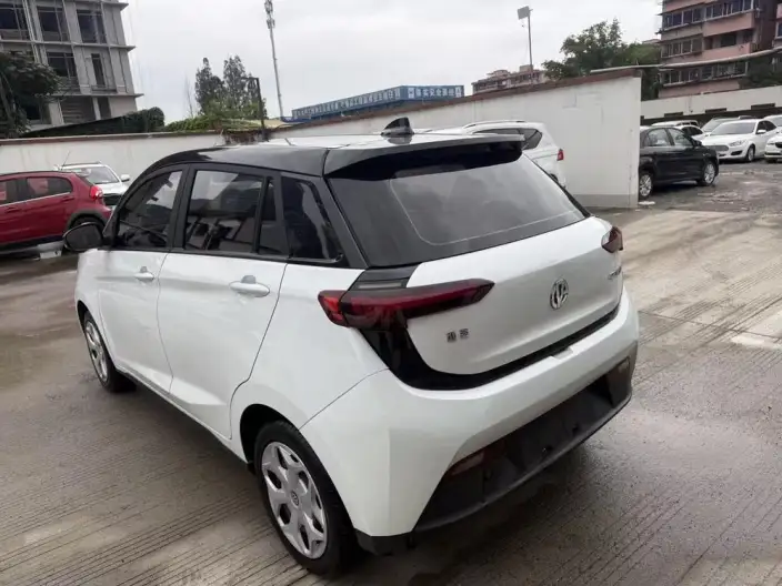 Young Guang Xiaoxin 2021 Model Business Edition 4 seat – фото 4
