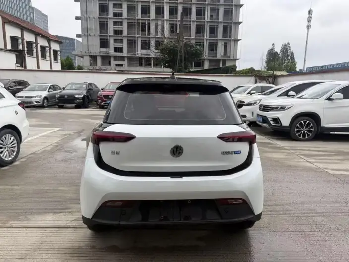 Young Guang Xiaoxin 2021 Model Business Edition 4 seat – фото 5