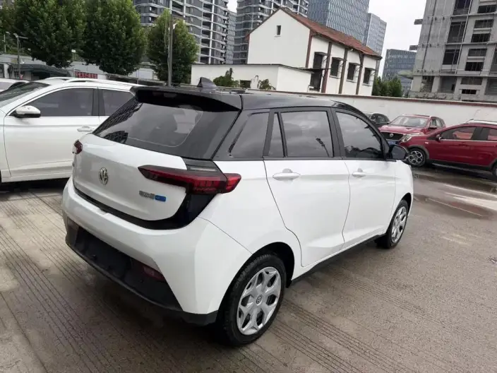 Young Guang Xiaoxin 2021 Model Business Edition 4 seat – фото 6
