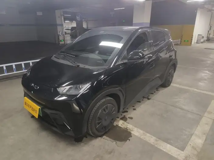 BYD Seagull 2024 Model Honor Edition 305KM Vitality Edition – фото 1