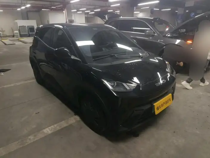BYD Seagull 2024 Model Honor Edition 305KM Vitality Edition – фото 2