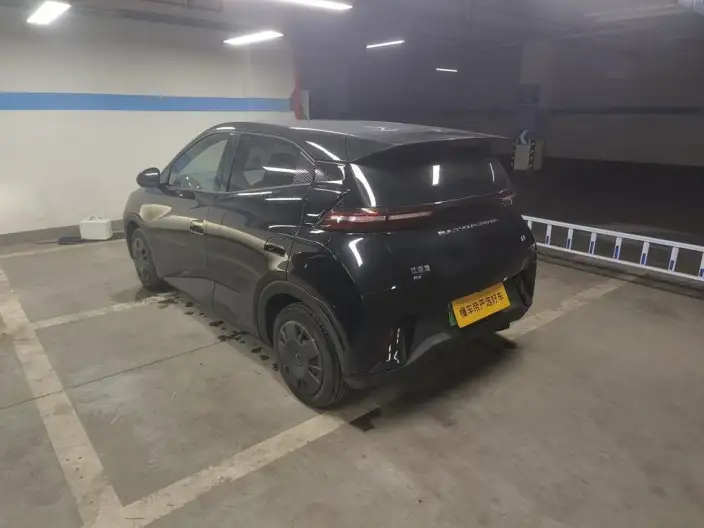 BYD Seagull 2024 Model Honor Edition 305KM Vitality Edition – фото 3