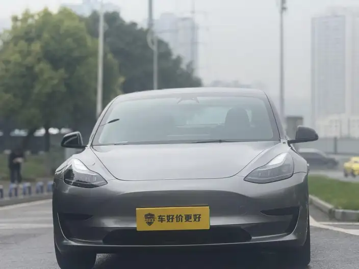 Model 3 2022 Model Rear-wheel drive version – фото 2