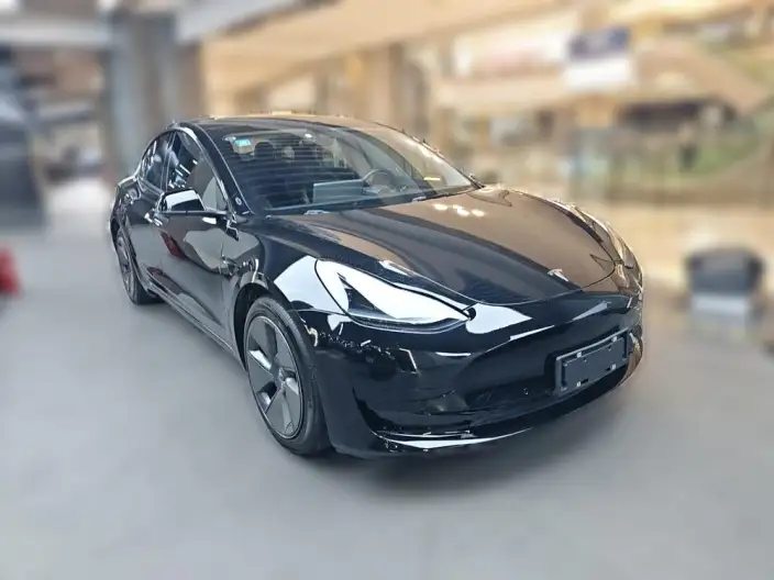 Model 3 2022 Model Rear-wheel drive version – фото 2