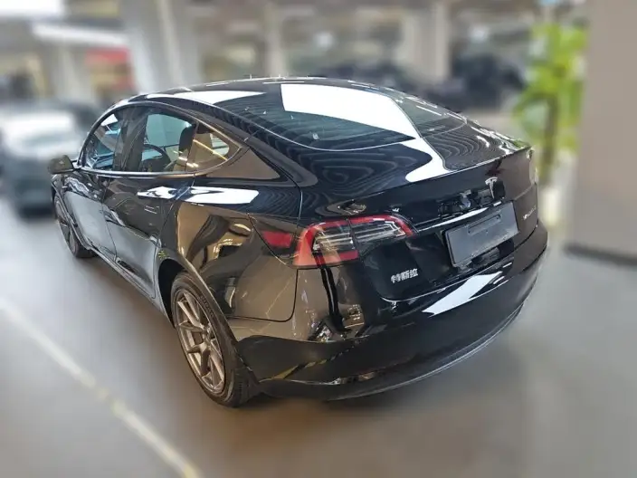 Model 3 2022 Model Rear-wheel drive version – фото 3