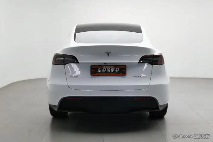 Model Y 2022 Model Rear-wheel drive version – фото 3