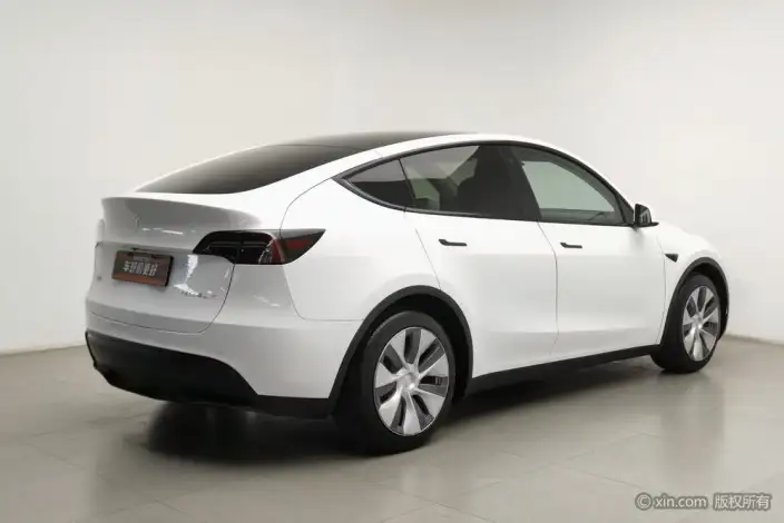 Model Y 2022 Model Rear-wheel drive version – фото 4