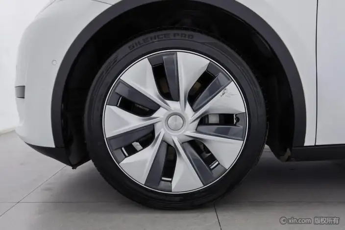 Model Y 2022 Model Rear-wheel drive version – фото 7